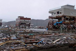 Voices from the Ground: Civil Society Reports from Japan