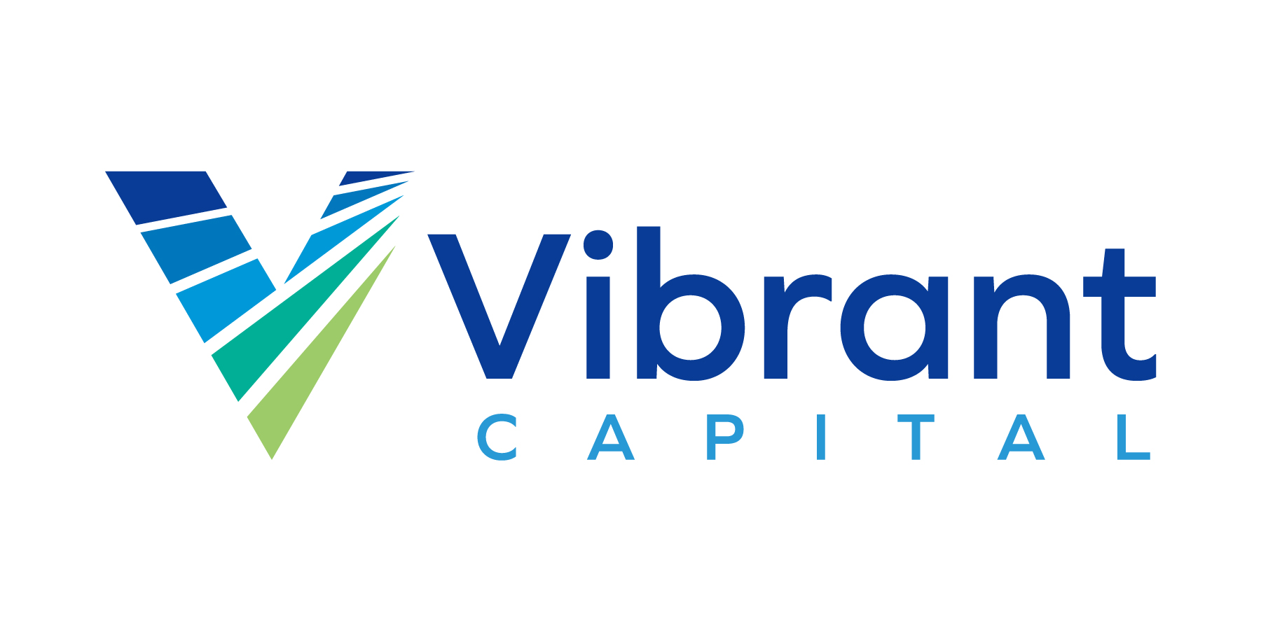 Vibrant Capital