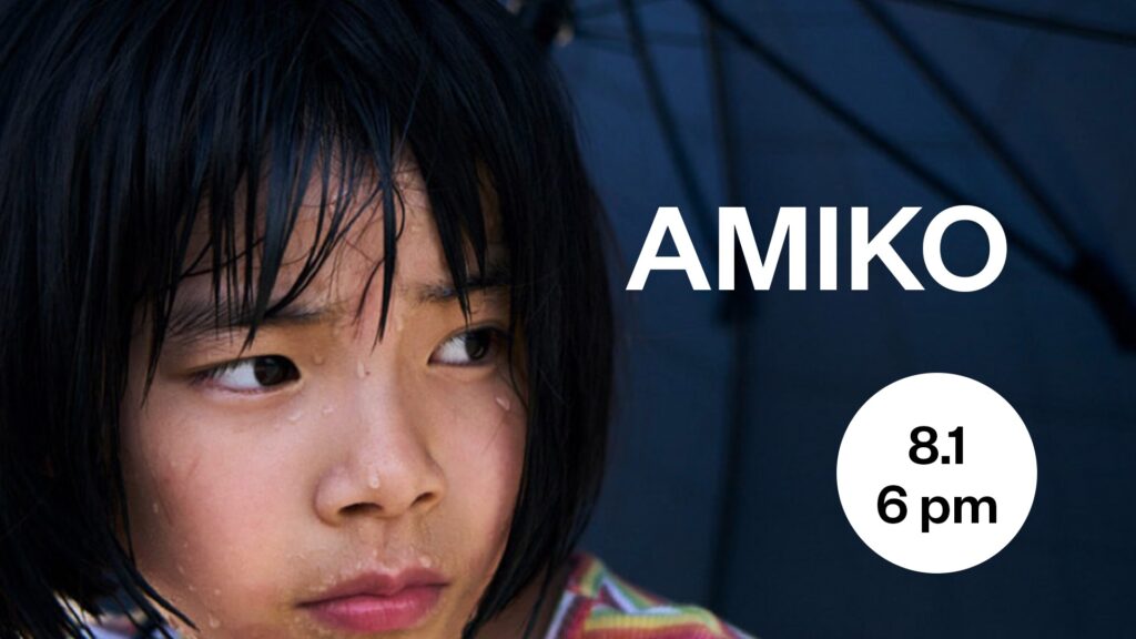 Amiko main image