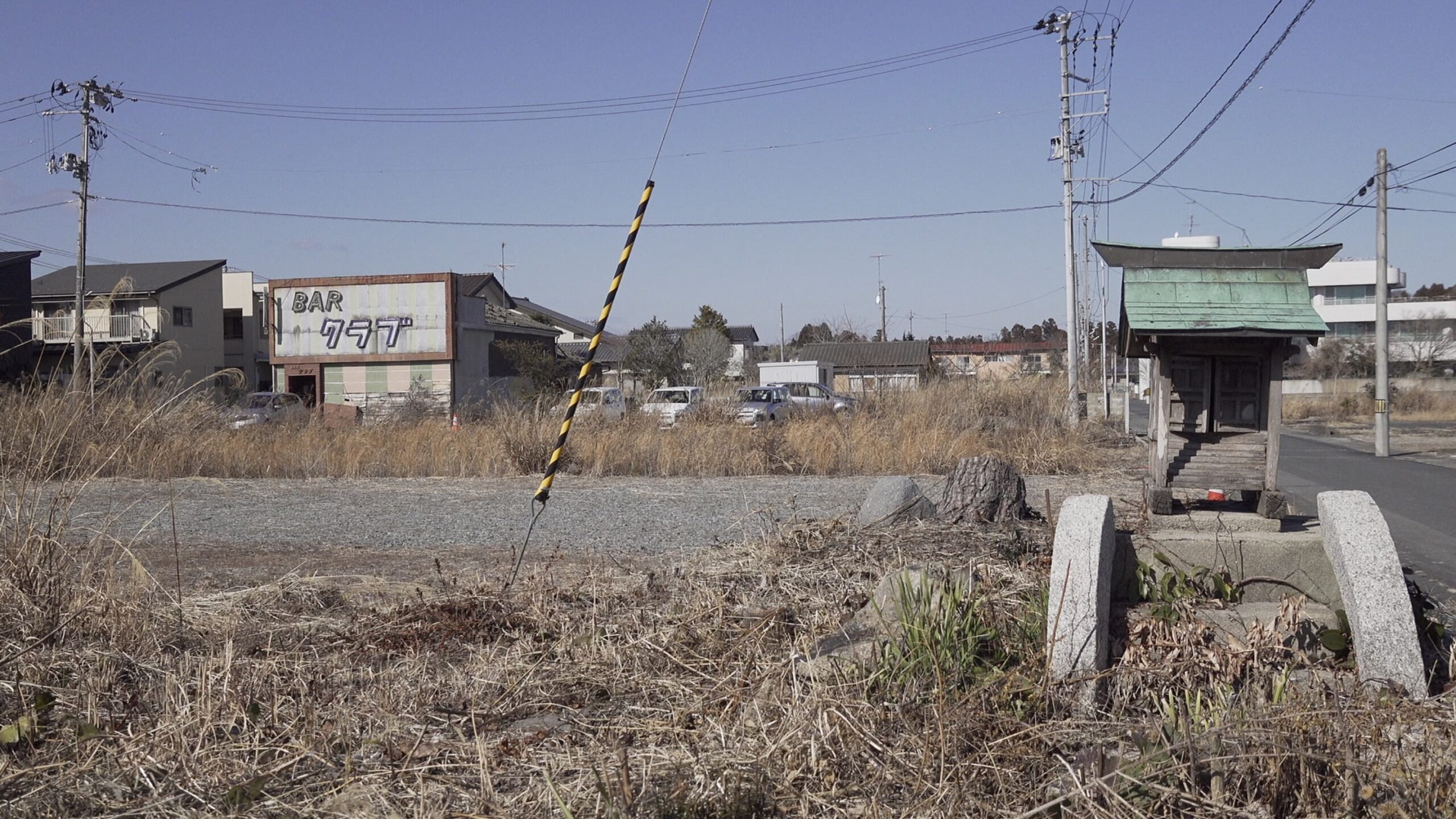 Free Screening: Letters from Fukushima with Director Minami Iizuka Q&A